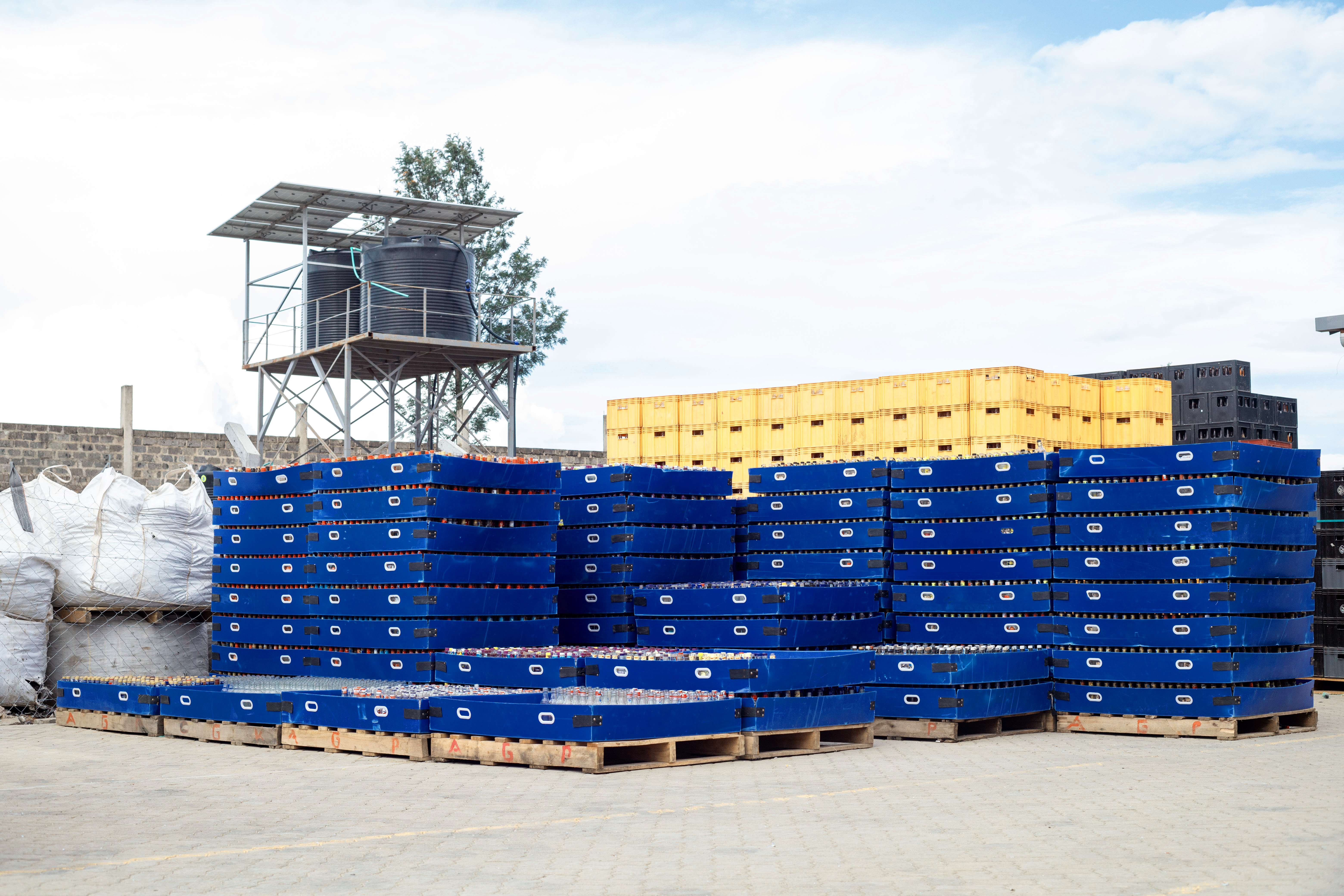 Organized storage in crates